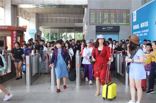海口五個臨時旅游服務(wù)臺高效運作，累計服務(wù)近7萬人次彰顯旅游服務(wù)新高度